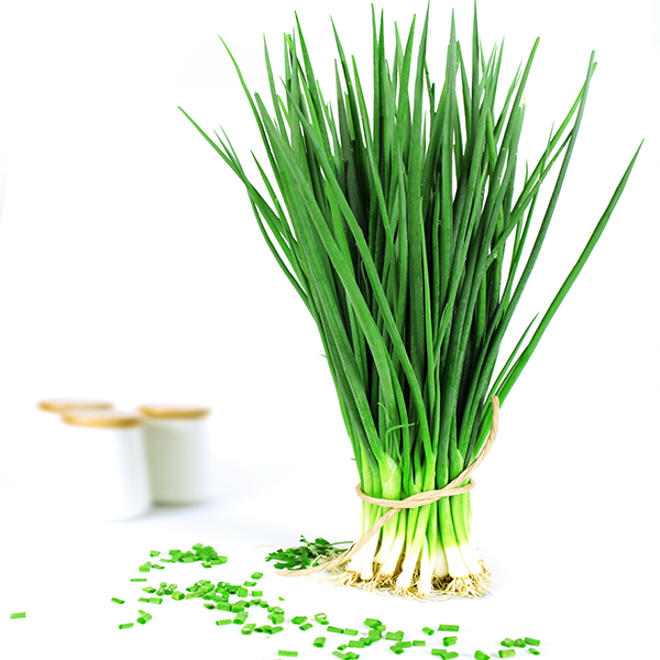 Hạt giống hành hoa